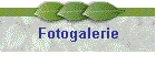 Fotogalerie