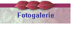 Fotogalerie