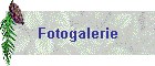 Fotogalerie