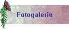 Fotogalerie